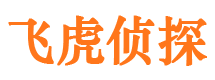 江城市婚姻调查